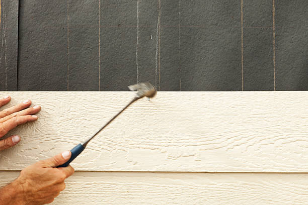 Best Engineered Wood Siding  in Millbourne, PA
